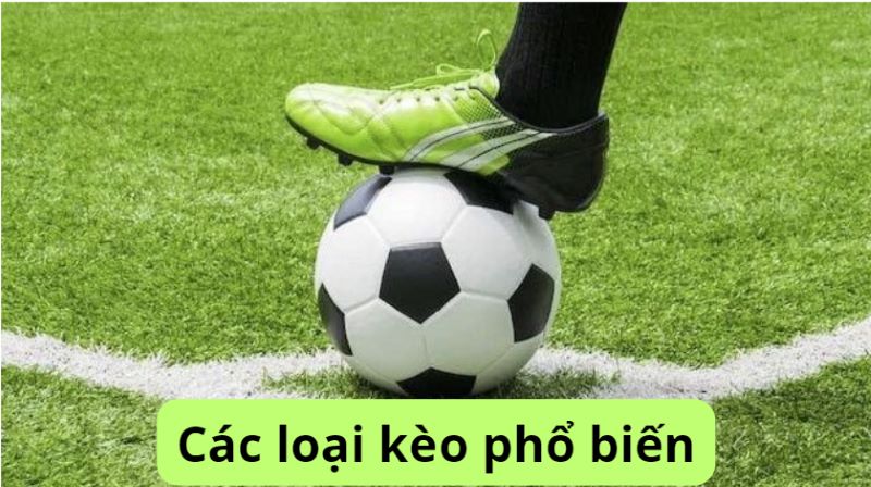 Các loại kèo phổ biến hàng ngày